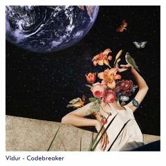 Vidur - Codebreaker