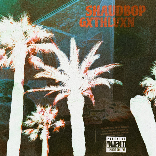 Shaudbop - Can’t trust outro instrumental prod. Gxthlvxn