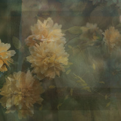 Beautiful Seeing Eyes - CHRISTA WELLS and EMILY HINES