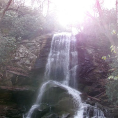 not alright @chicken @epi