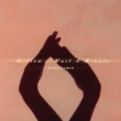WILLOW - Wait A Minute! (krisi remix)