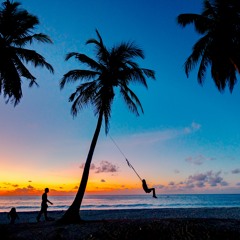 Cher - Believe (DajMan Remix)