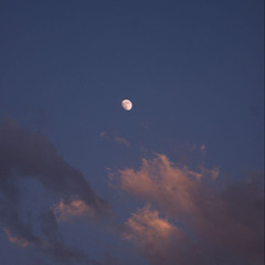 Fly me to the moon cover • Frank Sinatra