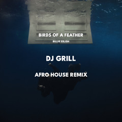 BIRDS OF A FEATHER (DJ GRILL Afro House Remix) ** FREE DOWNLOAD ** FILTERED FOR SOUNDCLOUD**