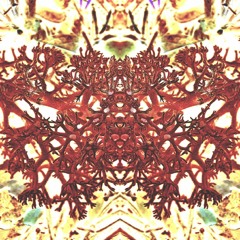 Tripmode - A world to conquer