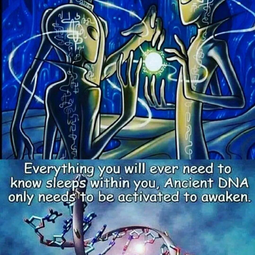 5.0 conversations the state of socials