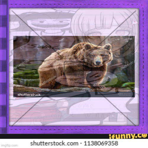 I HATE FRIDAYS COLLECTION visual data 6