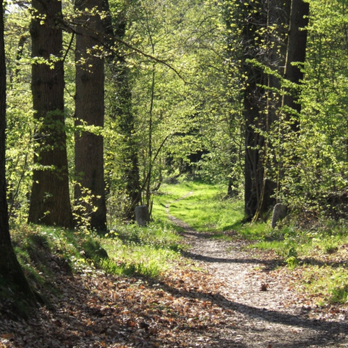 No Hook (kobelocks)*TAPE MODE*