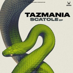 Tazmania - Scatole (Original Mix)