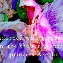 Princesses may stumble, petals will fall. [naviarhaiku420]