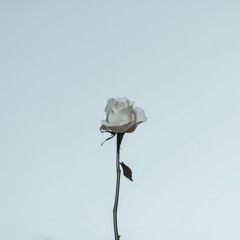 Move Like That (prod.mbth666)