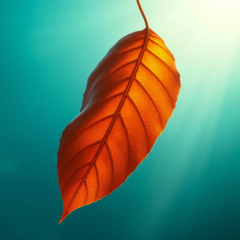 1995,  الخريف — موت صغير