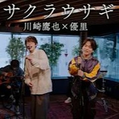 Yuuri(優里) x 川崎鷹也 -『サクラウサギ』acoustic ver. (Live)