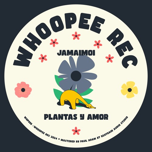Jamaimoi - Experta