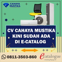 Penyedia Lemari Loker Pegawai E Katalog - CV Cahaya Mustika