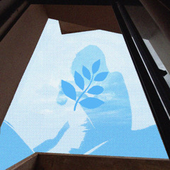 Os Tribalistas - Já Sei Namorar (Majestus Remix)