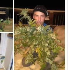 stranger than fiction .m4a