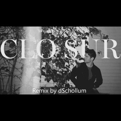Clo Sur - While You Think It Over (dSchollum Remix)