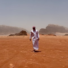 DNZL - Lost in the Desert