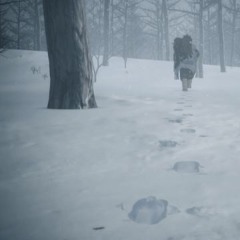 Nsss - 3 hivers (Prod Somar)