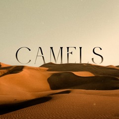 Almma - Camels [EP DESERT]