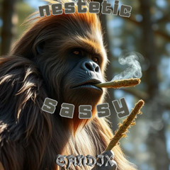 SANDIX - SASSY (NESTETIC SPECIAL) (FREE DOWNLOAD)