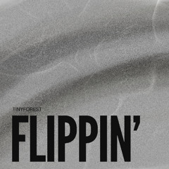 FLIPPIN'