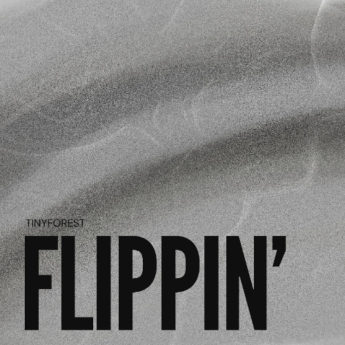 FLIPPIN'