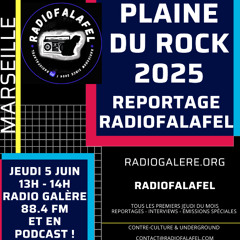 Radiofalafel Reportage_Plaine du Rock 2025_2025-06-05