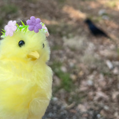 DRIVE / SUPERCAR cover