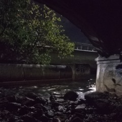 KOKOMO DOT WAVE