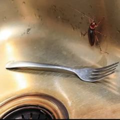 808s sound like a siren (prod ryo0o)