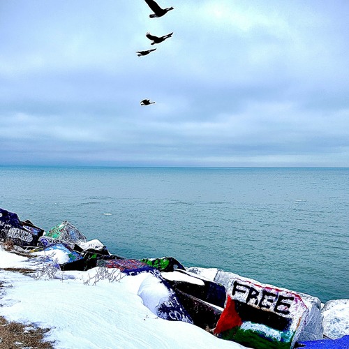 Hope4Peace2024 01.01.24 @KaterBlau 🙏🏼☮️🕊️🍉🤍✨