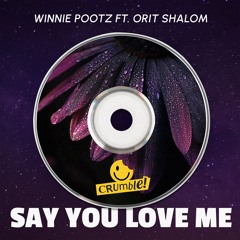 Say You Love Me Ft. Orit Shalom (Original Mix)