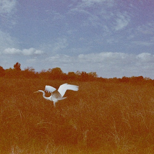 Magical Mix 2 (Sirius XM Chill)