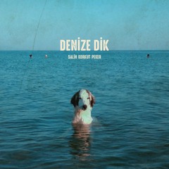 Salih Korkut Peker: nükte ve harman