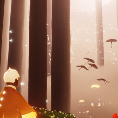 Capes of Wind