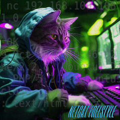 netcat freestyle [prod. ehrte]