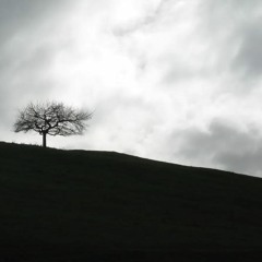 The Means To Suffer (The Isolation Mixes Part II)
