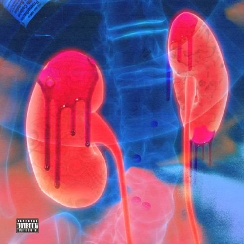 KILLING MY KIDNEYS - DEE AURA