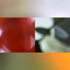 Stainless-Still