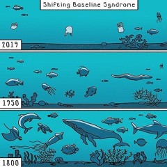 Shifting Baseline