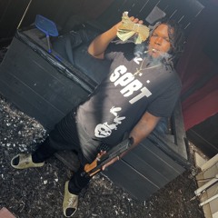 LetsGo Hova - GO CHICKEN