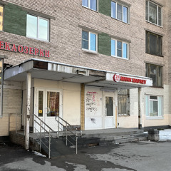 bushhgg, kesh - Дебют