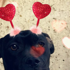 Hardree _ HardPsycho _ Trip2