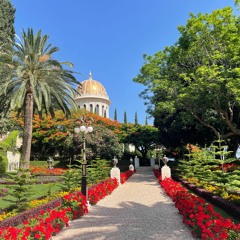 Sol De La Primavera