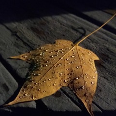 (Almost) A Goodbye Song