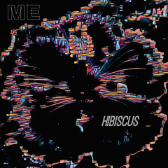 Mood Exhibit - Hibiscus [from the album “aes.thet.ics”]