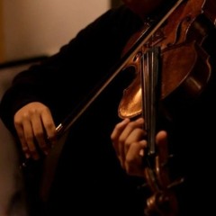 violong