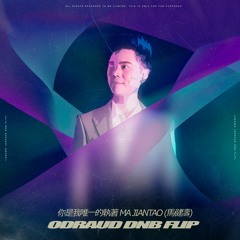LUGOWO (你是我唯一的執著 Ma Jiantao [馬健濤]) (odraud DNB FLIP)